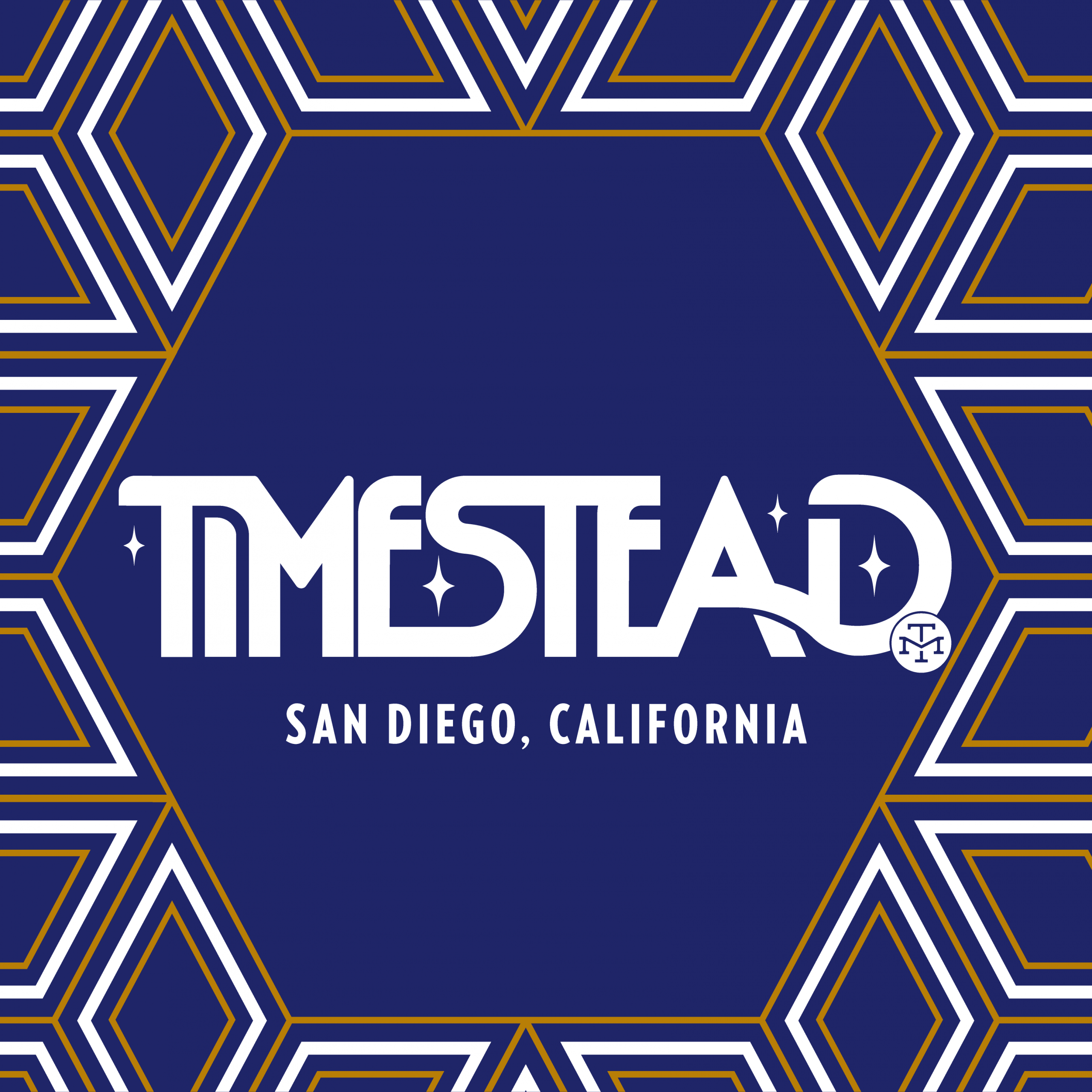 Timestead LOGO W BLUE BG-02
