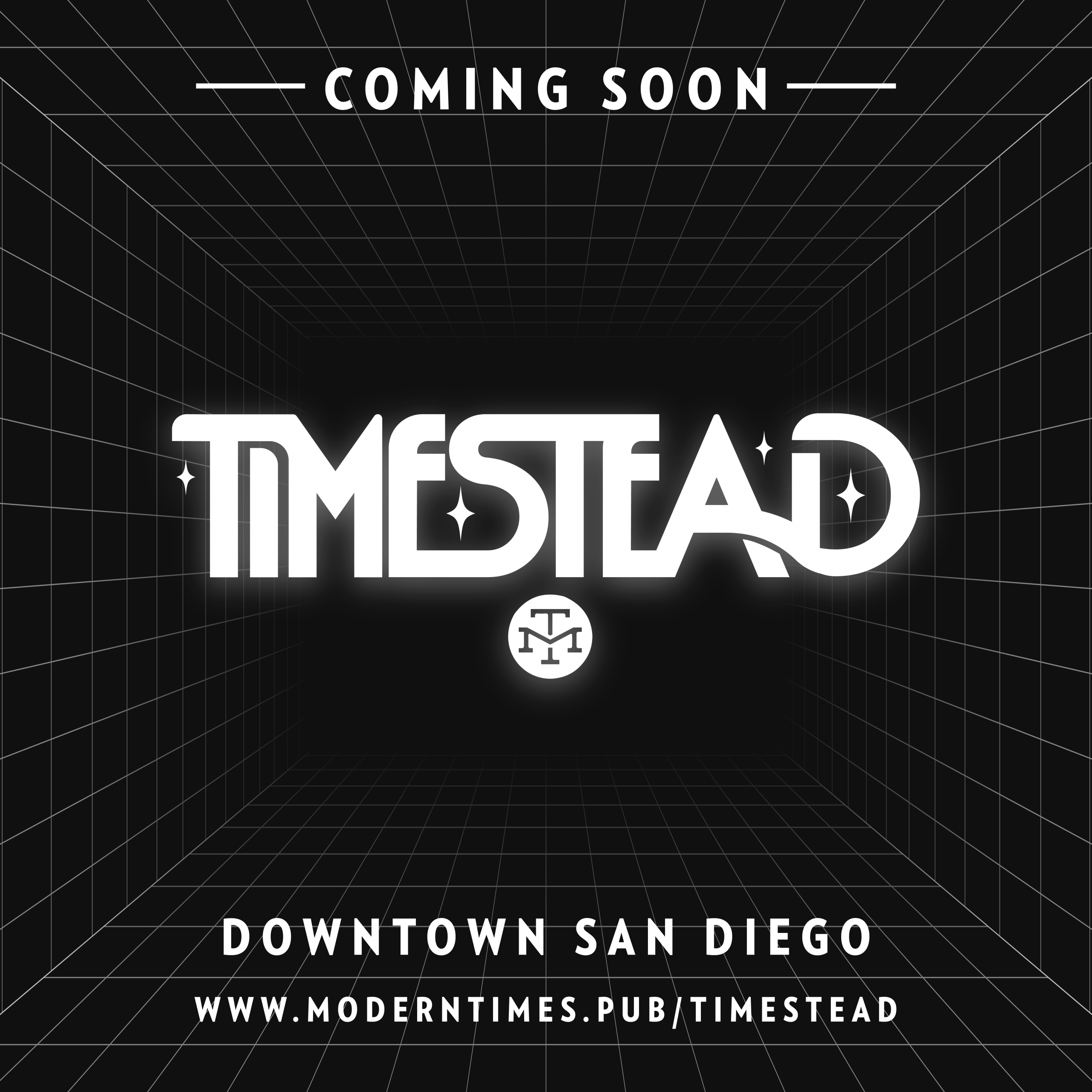 Timestead — wordmark on blue background